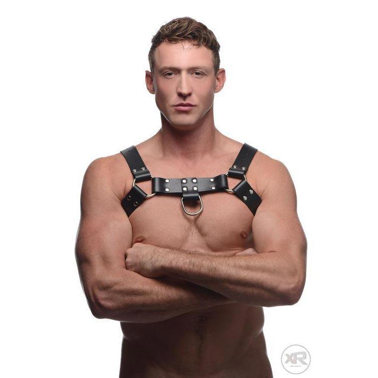 English Bull Dog Harness with Cock Strap