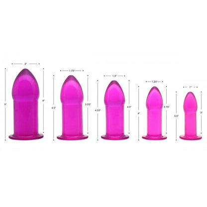 Purple 5pc Anal Trainer Kit