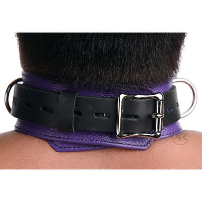 Strict Leather Black and Purple Deluxe Locking Collar