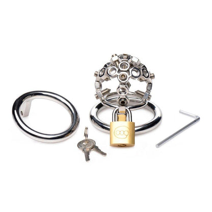 Bolted Chastity Cage with Spikes