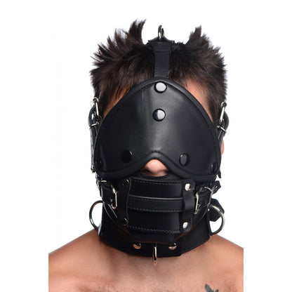 Leather Head Harness with Removeable Gag